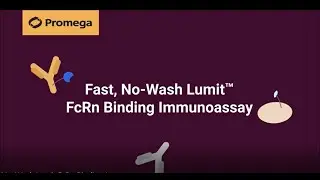 How Lumit&trade; Immunoassays Work