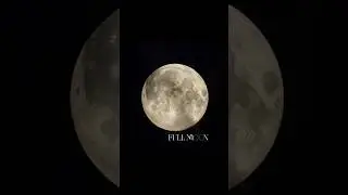 Full Moon Magic 🪄 #fullmoon  #moon  #night #moonlight #sky #luna #fyp #moonknight #nightlife