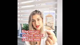 Близнецы-СОЛНЕЧНОЕ ЗАТМЕНИЕ 17 Февраля