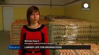 Shellbrane Project. Transforming eggshell. Innovation for the Food Industry.