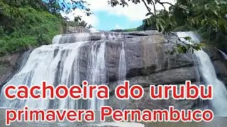 CACHOEIRA DO URUBU PRIMAVERA PERNAMBUCO