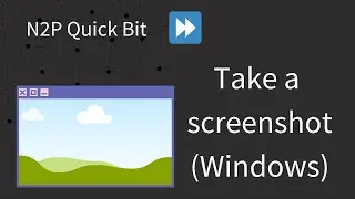 Windows Screenshots N2P Quick Bit
