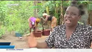 Côte d’Ivoire: l’agriculture biologique contre la pauvreté