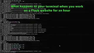 What happens to your Terminal when you work on a Flask website for an hour | A funny video