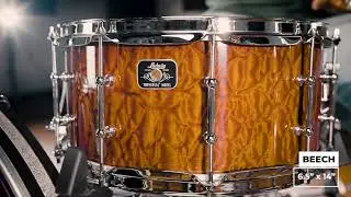Ludwig Universal Series Wood Snares &ndash; Full Line Comparison