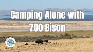 Scenic Logan Canyon to Antelope Island State Park