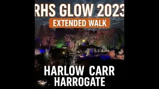 RHS Glow 2023 Harlow Carr | Extended Walk Harrogate Light Trail