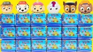 NEW Paw Patrol Mashem Stackems Sea Patrol Pups - Squishy Surprise Toys with Chase Skye