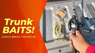 Catchin Fish on Stinky Bait Forgotten on my Truck Bed!