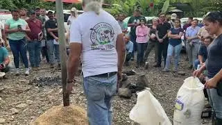 Fosfitos Jairo Costa Rica 2022