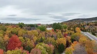 Corner brook fall
