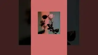 LP - Lost On You | KOLAY OKUNUŞ