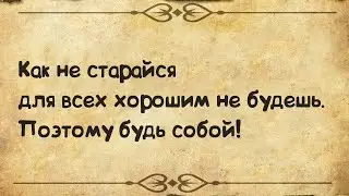 Самая лучшая подборка цитат | Большой сборник цитат | Мудрые слова | #цитаты