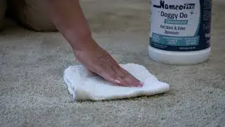 NAMCO Doggy Do Pet Stain and Odor Remover Concentrate, Mfg Part #5019