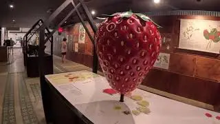 Beerenberg Strawberry Farm Hahndorf South Australia