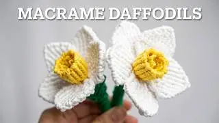 Macrame Daffodils Tutorials!!