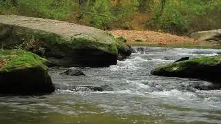 A Meditation Journey