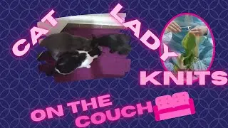 Cat Lady Knits #3: Poor or Resourceful?