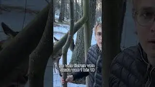 Rehe auf der Hohen Wand und eine ehrliche Antwort | Vlog #vlog #outdoor