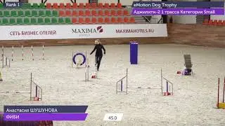 24.02.2020 Аджилити 2, Трасса 1 / Agility 2, course 1
