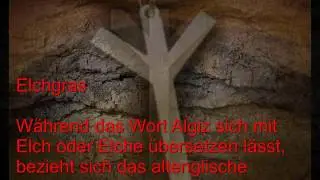 Mein neustes Projekt Runen 24 Beatz Album Runen  Rune15 Algiz