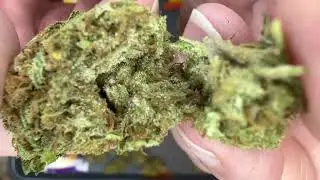 THCA Small Buds Chloe Review