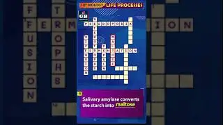 Puzzle-14 #LifeProcesses CBSE 10th Science Biology Term-1 |NCERT class 10 Most imp questions #Shorts
