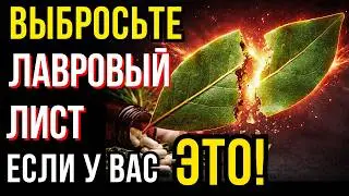 Выбросьте лавровый лист, если у вас есть ЭТО! Скрытые угрозы специи и безопасные рецепты.
