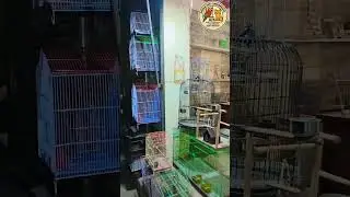 Arham Pets Enterprises (We Deal all type of Birds accessories, Swings, Stands, Perch, cages, Pots,