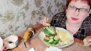 Мукбанг Россия.Скумбрия и овощи.Обжор солененьким.Болталка.