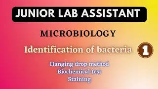 Microbiology / Identification of bacteria / Staining / Biochemical test /JLA class 36