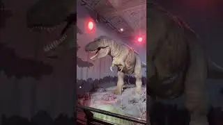 Roaring DINOSAUR 🦖 #amazing #fun #museum #animal #dinosaurs #dino #scotland