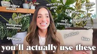 plant care essentials 🌿 what actually works (no bs, no gatekeeping)