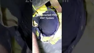 Completely Disconnected HVAC Duct in Attic