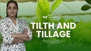 Tilth, characters of good tilth, advantages and disadvantages of tillage | BSc Agriculture Notes