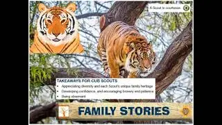 DECEMBER | Family Stories | Tiger Adventures