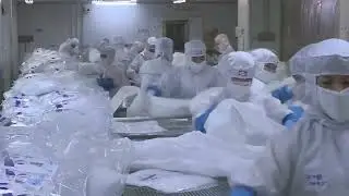 Cleanroom ESD Four Holes Shoe for Industrial Manufacturing