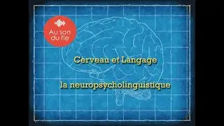 Cerveau et Langage: la Neuropsycholinguistique