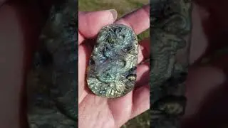 205 CTS Rare Spectrolite Labradorite Carved Dragon + Scenery Crystal Natural Marks Knicks Scratches