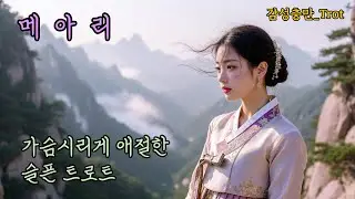 가슴 시리게 애절한 슬픈 트로트_메아리 #트로트 #k-trot #감성트로트 #애절한노래 #슬픈노래