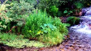 Big Hill Springs Provincial Park / Instrumental