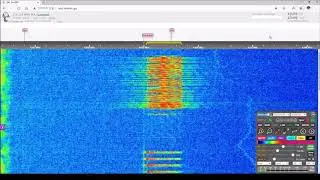 The Buzzer/UVB-76  Voice Message (November 25, 2020 10:08 UTC)