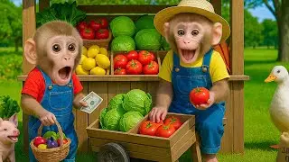 Monkey RIMA harvest vegetables to sell and buy rainbow jelly ice cream