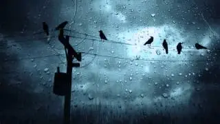 Ghosts Of Paraguay - Beyond Reason Feat. Coma