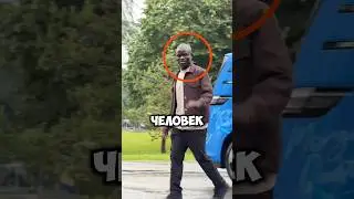 Н'Голо Канте - 