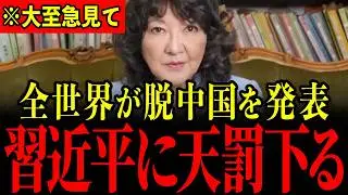 ※中国が全世界を敵に回しました…習近平がとんでもないことになっているので大至急見てください…【片山さつき/高市早苗/レアアース】