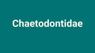 'Chaetodontidae' Meaning and Pronunciation