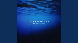 Ocean Night