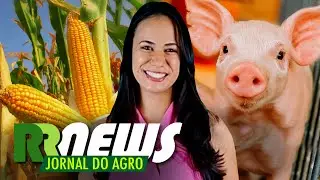 RRNEWS - O Jornal do Agro - 31/01/2026