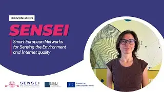 The SENSEI Project: Smart European Networks for Sensing the Environment and Internet quality
